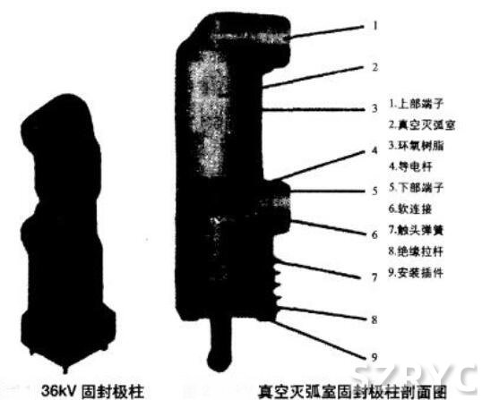 固封式極柱真空斷路器剖面圖